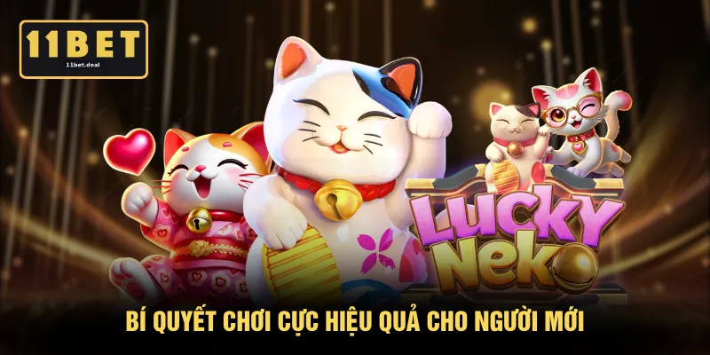 Bí quyết chơi cực hiệu quả cho người mới